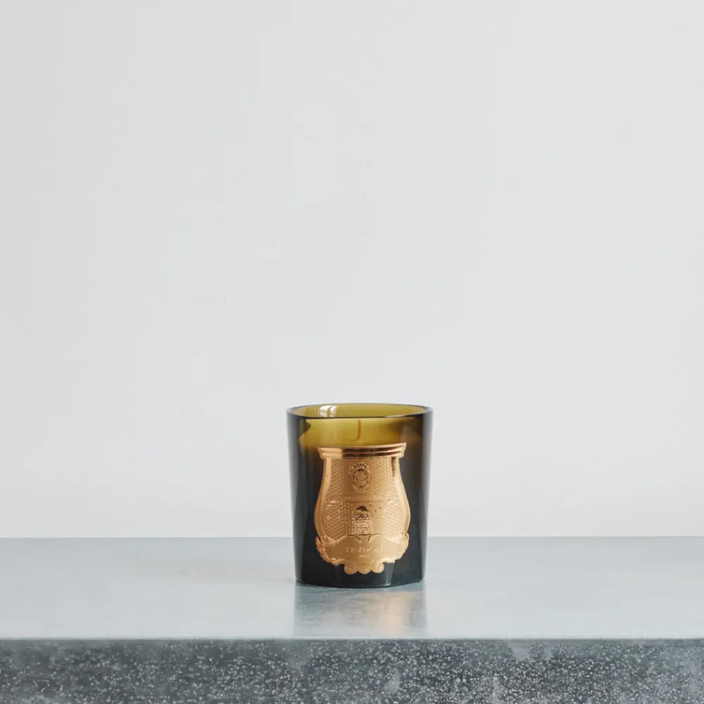 Shop 241 SAS CIR Bougie parfumée Trudon 270 g - Spiritus Sancti
