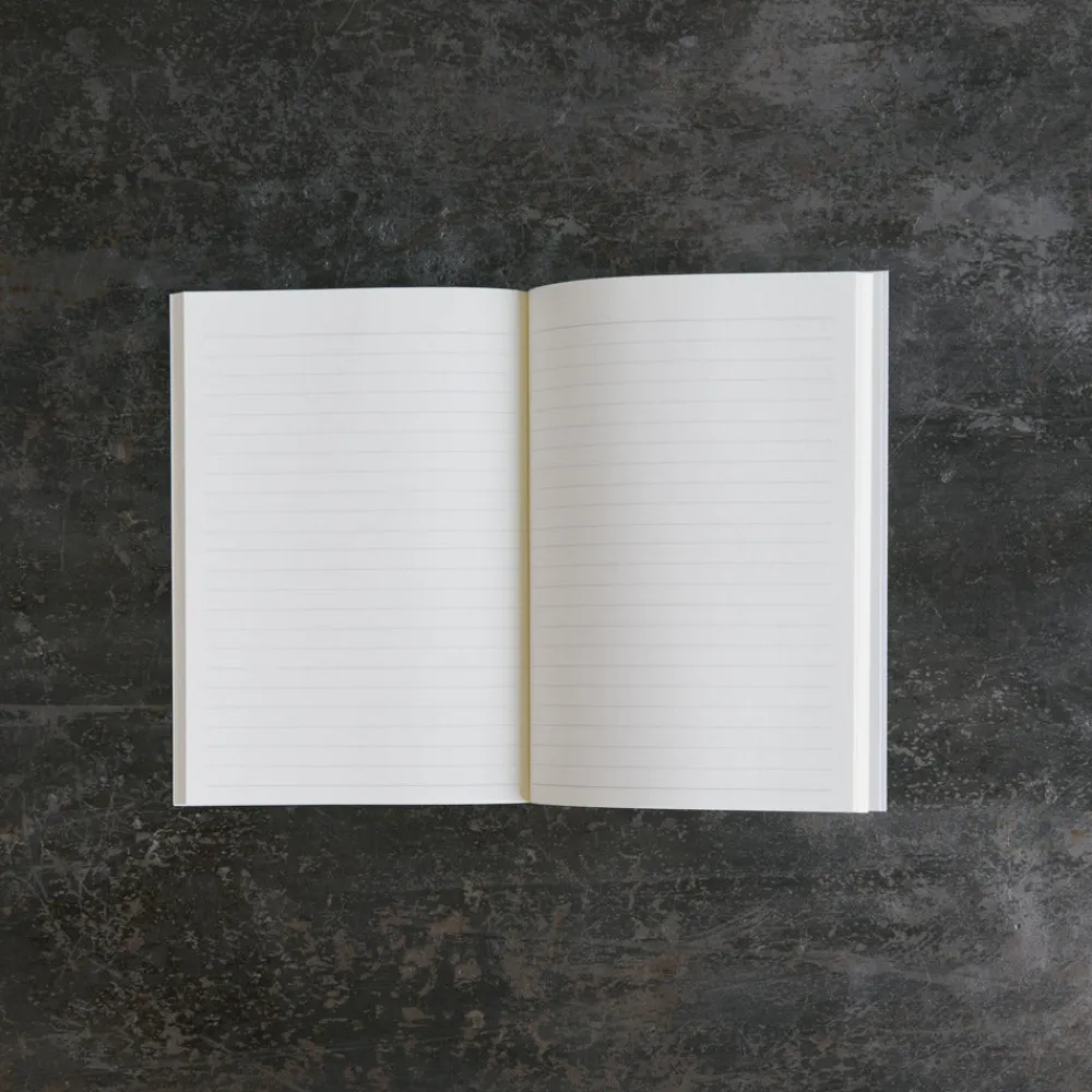 Best 2253 DAVID SHRIGLEY Carnet - All Your Stupid Ideas